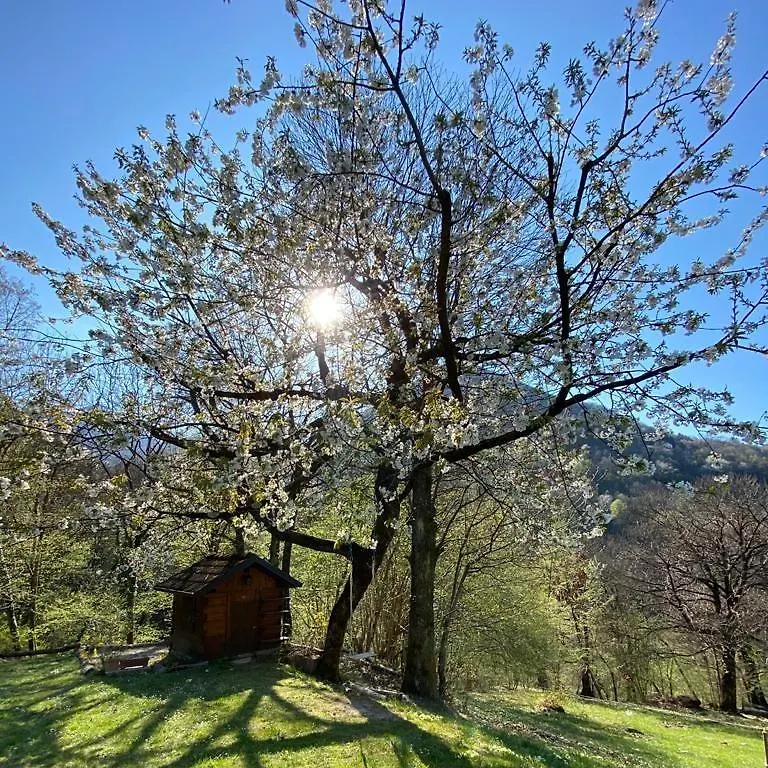 Baita Eleonora Argegno 0*,